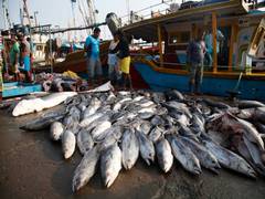 
      
      China tightening grip on Sri Lanka by exploiting its...
      
      