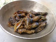 
      
      Of ants eggs, silk worms n more
      
      