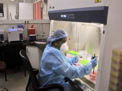 
      
      Gennova to submit data of mRNA COVID-19 vaccine to drug regulator
      
      
