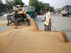 
      
      India now restricts exports of flour, other derivatives
      
      