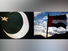 
      
      UAE offers to buy minority shares in Pak's government companies
      
      