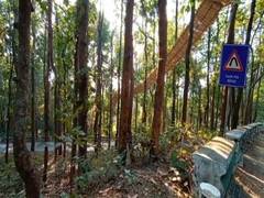 
      
      Uttarakhand gets its first eco-bridge for small animals
      
      
