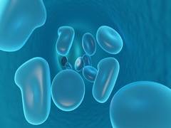 
      
      Regulatory T cells regulates immune response of individual,...
      
      