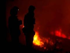 
      
      Deadly California wildfire film in Hollywood pipeline
      
      