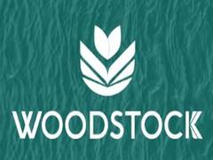 
      
      Leading multi-asset investment fund Woodstock to operate...
      
      