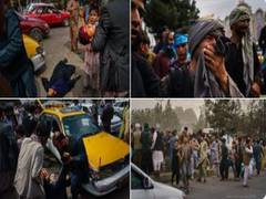 
      
      Taliban use gunfire, whips, sticks to control crowd at Kabul...
      
      
