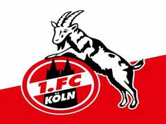 
      
      Three FC Koln members test positive for COVID-19 after return...
      
      
