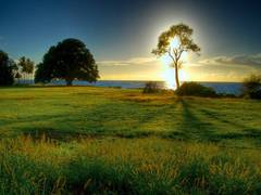 
      
      Researchers find spending time in nature reduces stress
      
      