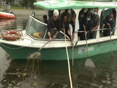 
      
      J-K: Lt Governor Manoj Sinha flags off cleanliness drive to...
      
      