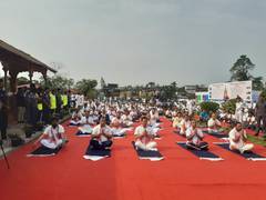 
      
      Thousands participate in 'Yoga Utsav' in Assam's Sivasagar
      
      