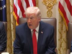 
      
      Trump says Putin agrees to pause Kyiv strikes for a week
      
      