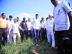 
      
      Parties should first focus on ensuring relief to rain-hit...
      
      