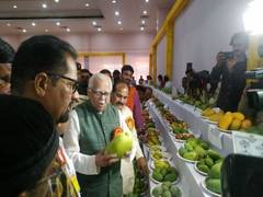 
    After 'Modi sarees' and 'jackets', get ready for 'Modi mangoes'!
    