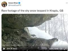 
      
      Netizens troll PM Imran Khan over leopard video, ask him to...
      
      