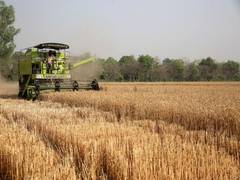 
      
      Chinese media defends Indian wheat export curb after G7 criticism
      
      