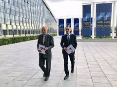 
      
      Finland and Sweden submit applications to join NATO 
      
      