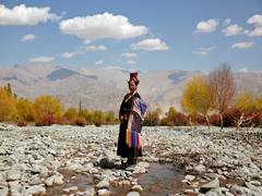 
      
      Life of shepherdess in Ladakh mountains an inspiration to many
      
      