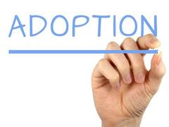 
      
      Adoption assessment tool is not LGBT-inclusive, claims study
      
      
