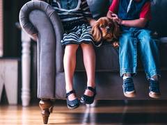 
      
      Study reveals loss of a pet can potentially trigger mental...
      
      