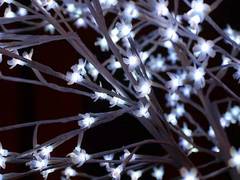 
      
      Exposure to nighttime artificial lights linked to elevated...
      
      