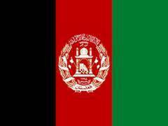 
      
      Afghan security forces kill 11 Taliban terrorists in Kandahar
      
      