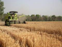 
      
      India's agricultural exports rise 14 pc in April-June quarter
      
      