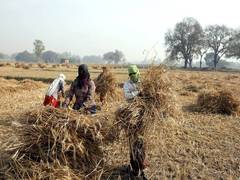 
      
      Lockdown guidelines: Govt continues to allow agricultural and...
      
      