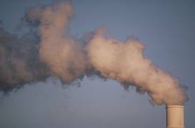 
      
      How air pollution affects growth of trees
      
      