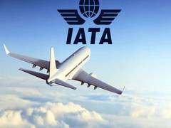 
      
      EC slots decision damages sustainability, industry recovery: IATA
      
      
