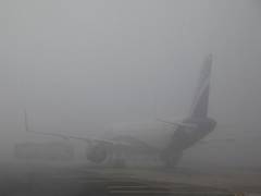 
      
      Flight operations at Nepal's international airport halted due...
      
      