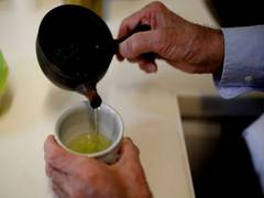 
    Study reveals green tea compound aids tumour-suppressing, DNA-repairing protein
    