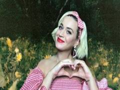 
      
      Katy Perry and her dog are 'about 95' pc ready to turn vegan
      
      