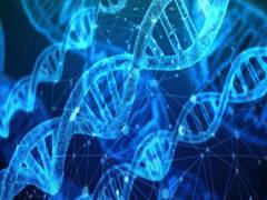 
      
      Researchers find rare genetic disease caused by mutations in...
      
      