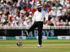 
      
      Aleem Dar, Michael Gough to officiate PSL 2020 final
      
      