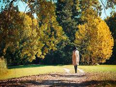 
      
      Here's how of light physical activities can help improve...
      
      