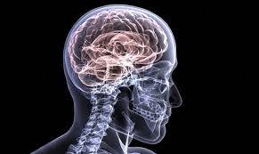 
      
      Family history of Alzheimer's, length of gene impacts...
      
      