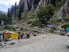 
      
      SASB to introduce better safety measures during Amarnath yatra
      
      