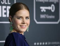 
      
      Amy Adams to star in 'Hillbilly Elegy'
      
      