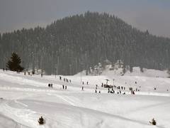 
      
      Bollywood big banners explore Kashmir for upcoming film projects
      
      