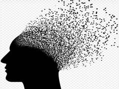
    Evolutionary changes in human brain, potential reason of anxiety: Study
    