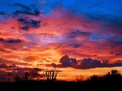 
      
      Scientists suggest early Indian monsoon forecasts could...
      
      