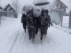 
      
      India should summon Pak's envoy: Defence expert 
      
      