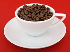 
    Study says higher coffee intake prevents development of Alzheimer's disease
    