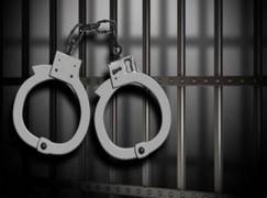 
      
      Mumbai: Crime Branch solves Dharavi murder case, seven arrested
      
      