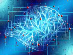 
      
      Study finds artificial intelligence may decrease frequency of...
      
      