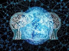 
      
      Artificial brains may need sleep too: Study
      
      