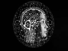 
      
      AI accurately predicts who will develop dementia in two...
      
      