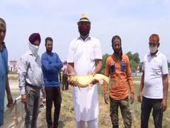 
      
      J-K: Pradhan Mantri Matsya Sampada Yojana helps Jammu farmers...
      
      