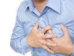 
      
      Study reveals high-protein diets boost artery-clogging plaque
      
      
