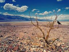 
      
      Human actions accelerate climate-driven floods, droughts
      
      